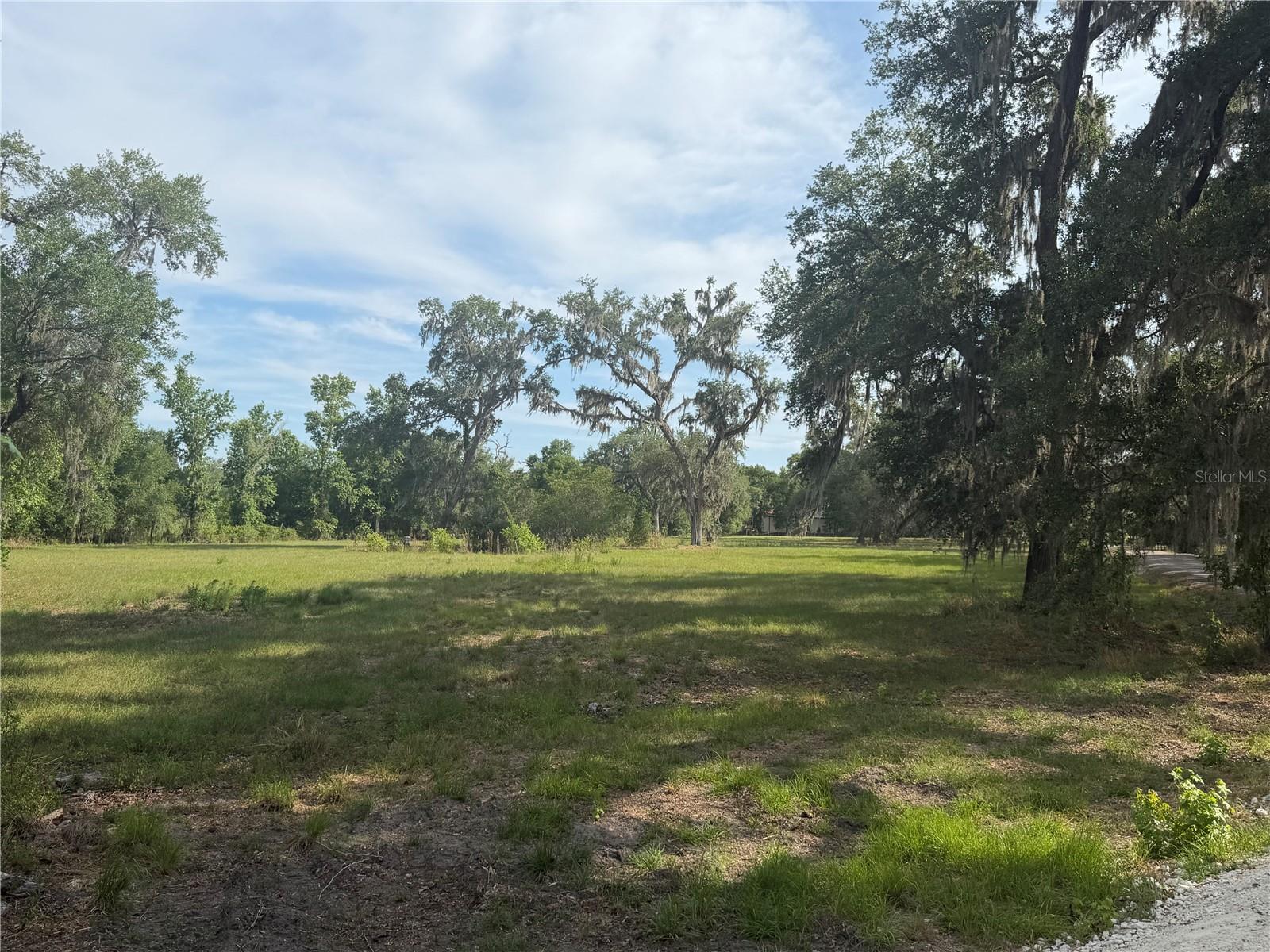 PALOMINO LAKES - Land