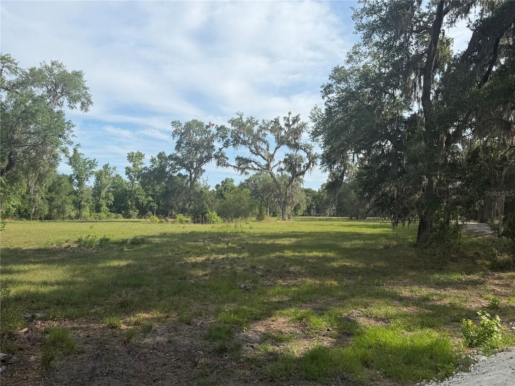 Photo of 000 Palomino Lakes Dr, Dade City, FL 33523 (MLS # TB8504791)