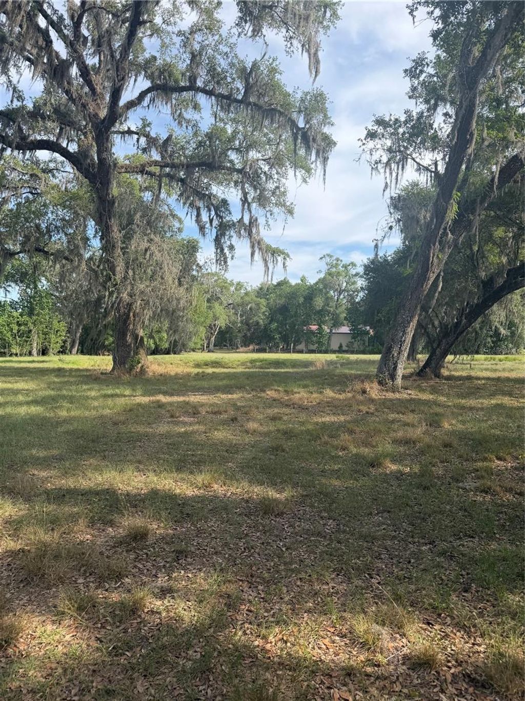 Photo of 000 Palomino Lakes Dr, Dade City, FL 33523 (MLS # TB8504791)