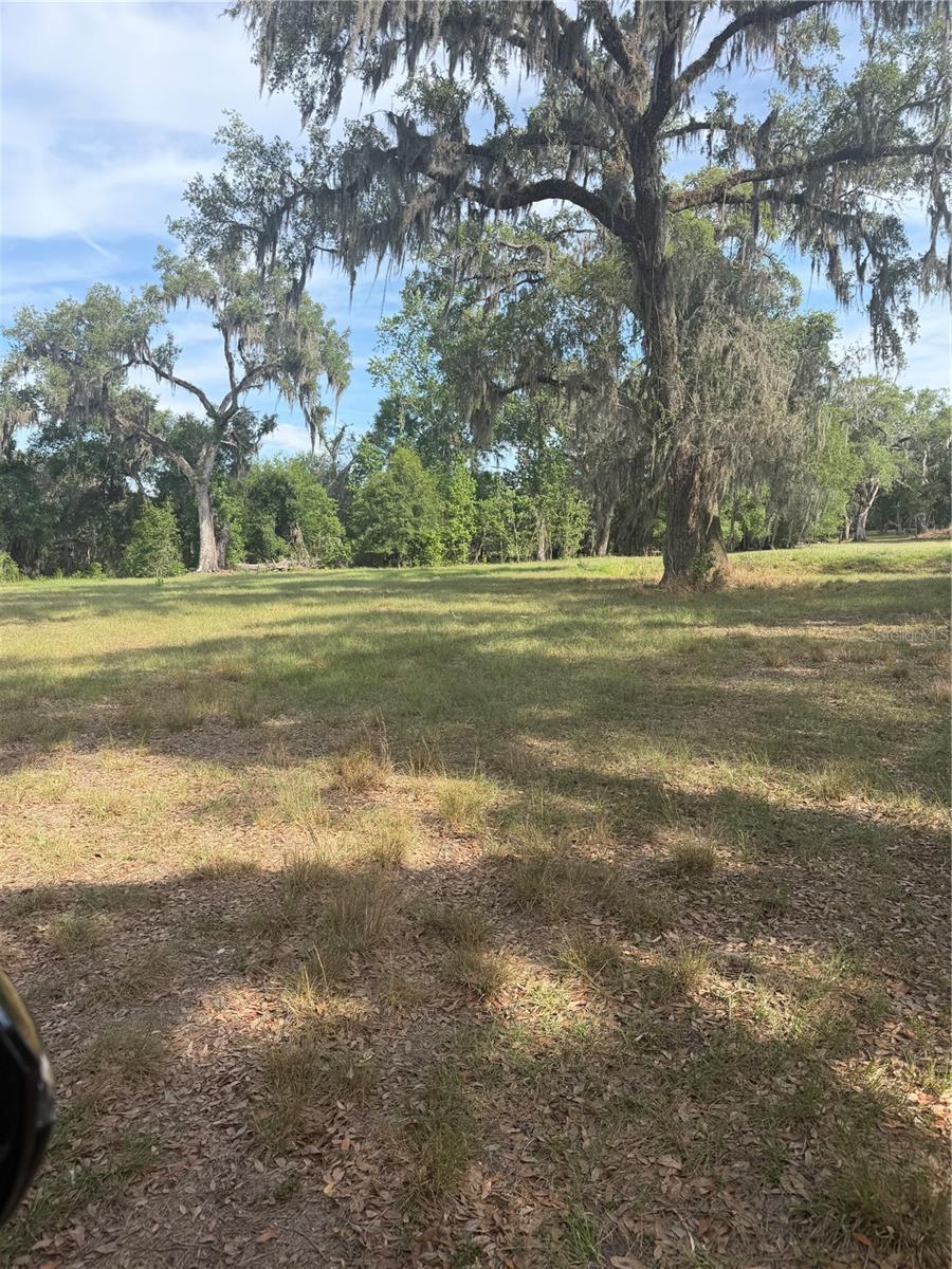 PALOMINO LAKES - Land