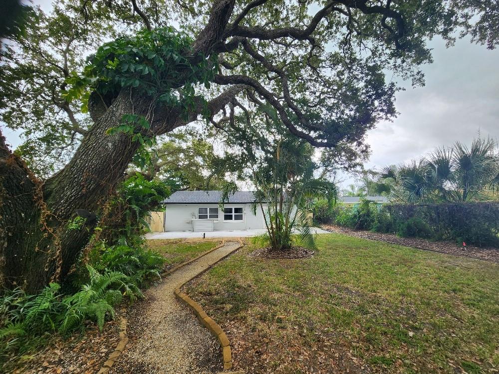 NEW SMYRNA BEACH - Residential