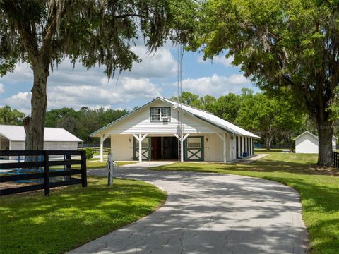 Tiny photo for 8393 NW 110th Street, Reddick, FL 32686 (MLS # OM711636)