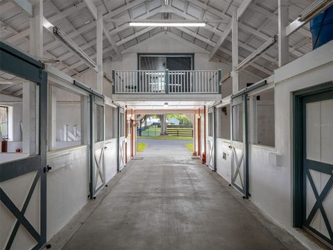 Tiny photo for 8393 NW 110th Street, Reddick, FL 32686 (MLS # OM711636)