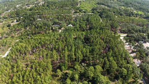 Tiny photo for Xx SW 156th Place, Dunnellon, FL 34432 (MLS # O6420204)