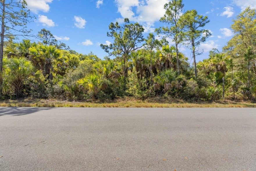 Vacant land in the heart of Port Charlotte! in a fabulous location to build your dream home or investment house. Just minutes to fine dining, shopping, schools, golf, parks, fishing and boating, to Port Charlotte Beach Park, SWFL gulf beaches and Charlotte Harbor and downtown historic Punta Gorda with community events and entertainment are just a short drive away along shopping district. Don't miss this opportunity.