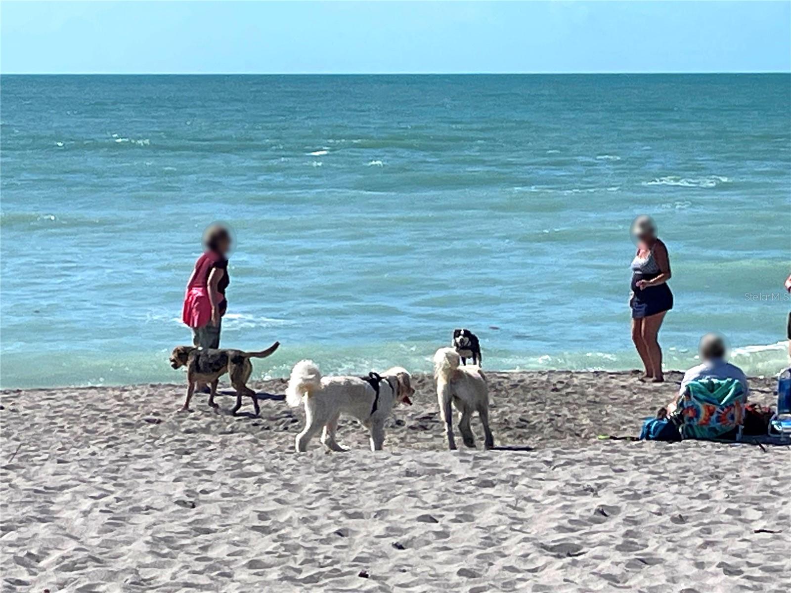 GOLDEN BEACH - Residential