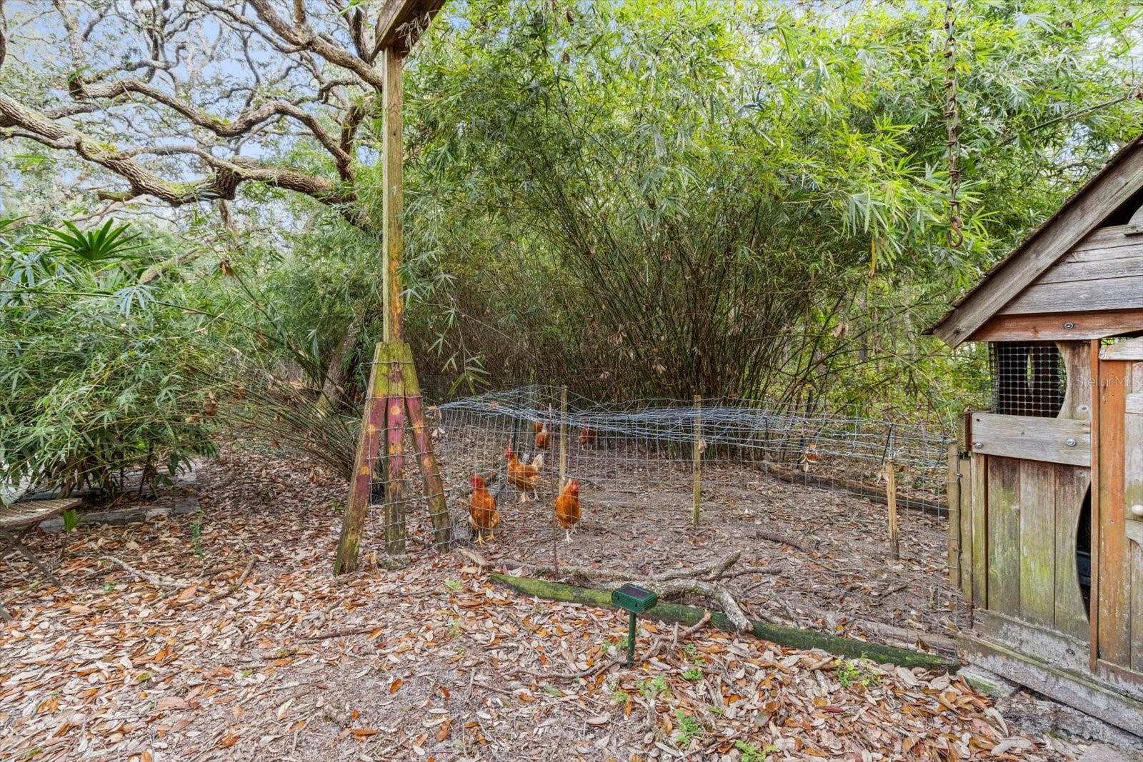 CRYSTAL HILLS MINI FARMS UN 3 - Residential