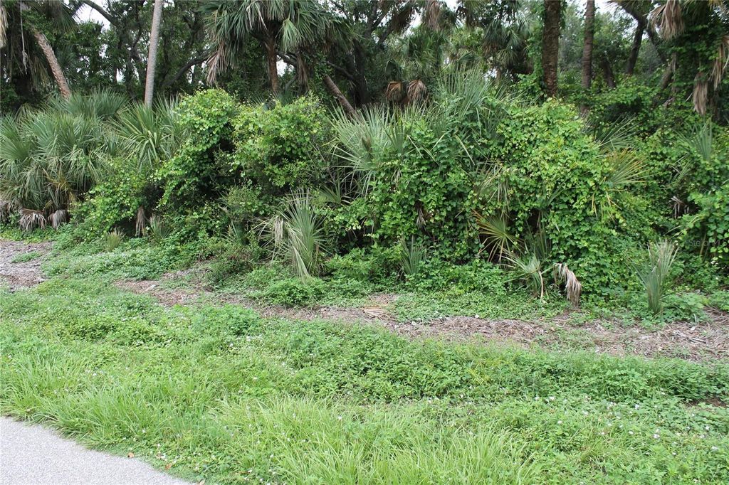 Photo of 18106 Sinatra Avenue, Port Charlotte, FL 33954 (MLS # N6139516)