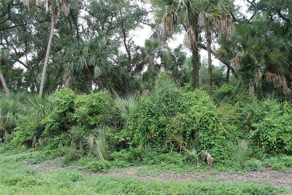 Photo of 18106 Sinatra Avenue, Port Charlotte, FL 33954 (MLS # N6139516)