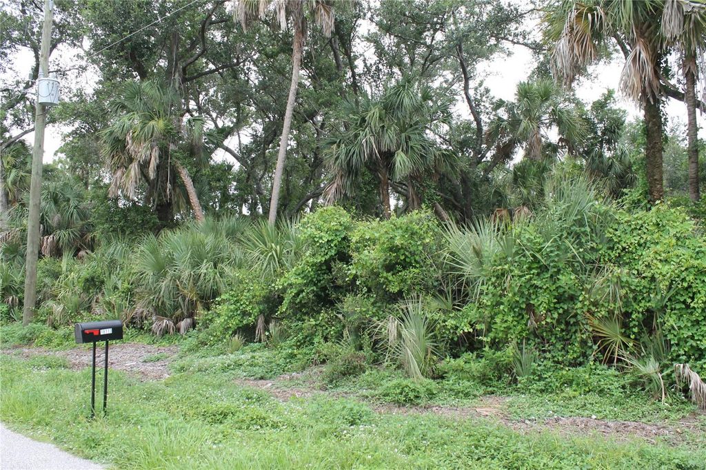 Photo of 18106 Sinatra Avenue, Port Charlotte, FL 33954 (MLS # N6139516)