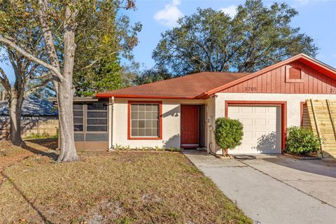 A home in PALM HARBOR