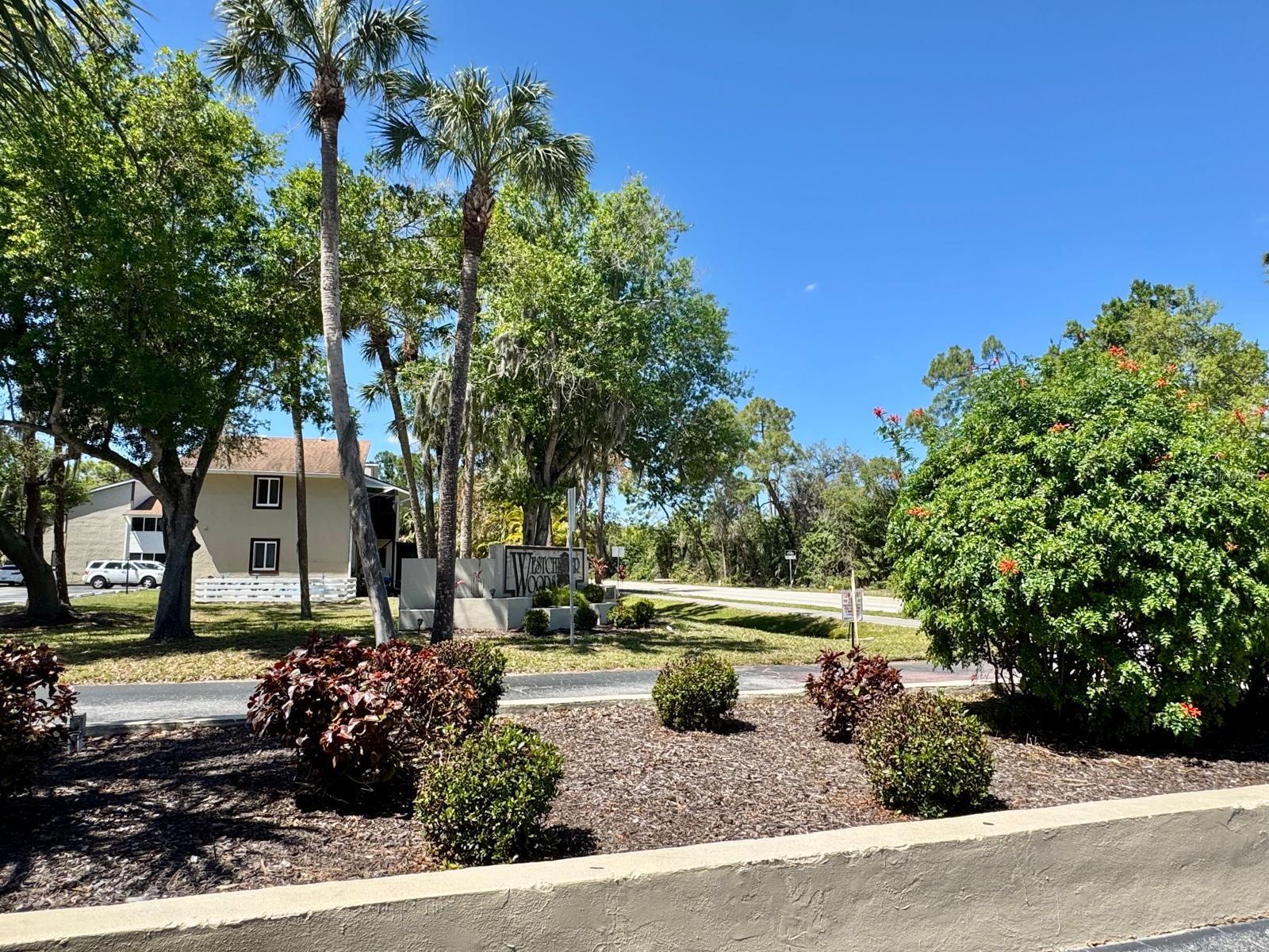 22481 WESTCHESTER BOULEVARD B36