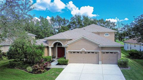 A home in VALRICO