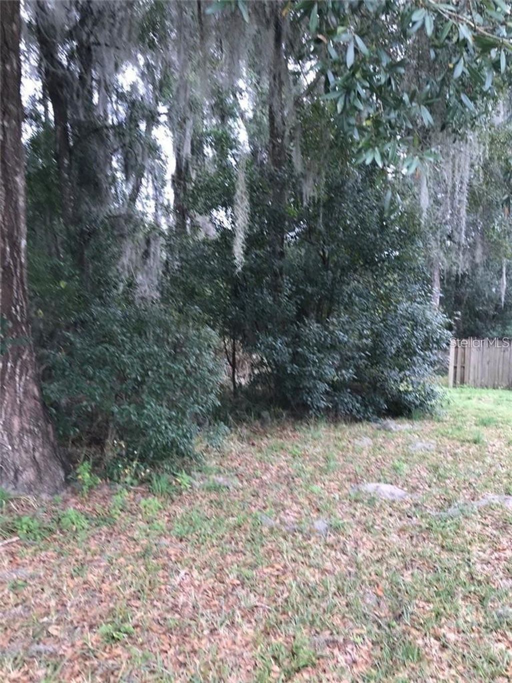 Photo of 260 Mercers Fernery Road, Deland, FL 32720 (MLS # V4942382)