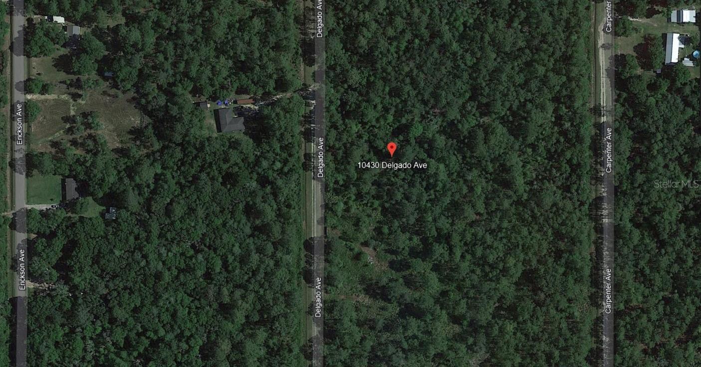 FLAGLER ESTATES - Land