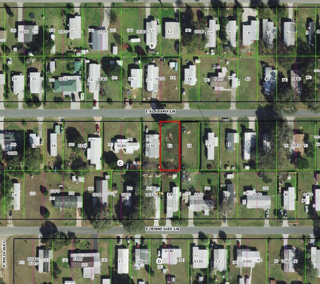 Photo of 4262 E Alabama Lane, Hernando, FL 34442 (MLS # TB8469192)