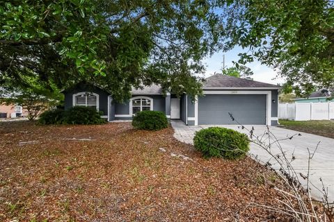 Photo of 2823 Arbour Trail Court, Deltona, FL 32725 (MLS # O6405253)