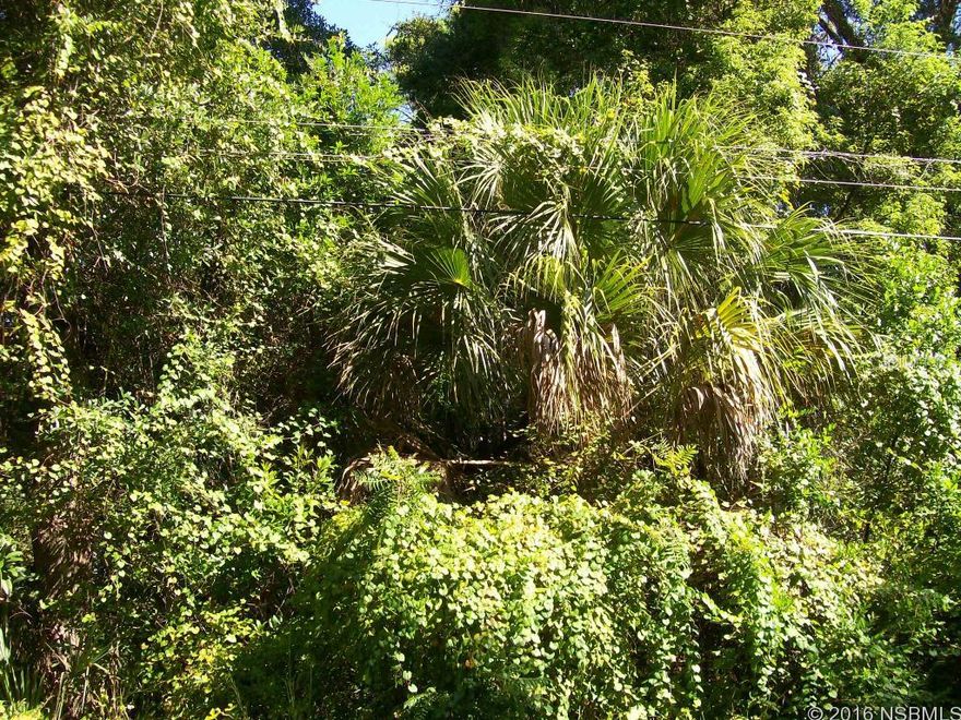 Under contract taking backups. Uncleared building site with 2 cleared, contiguous 70x168 sites also available.  Buy one or buy all!  Just minutes to the river and some of the best fishing around--world famous Mosquito Lagoon.; Cleared: No ;Water: Holding Tank