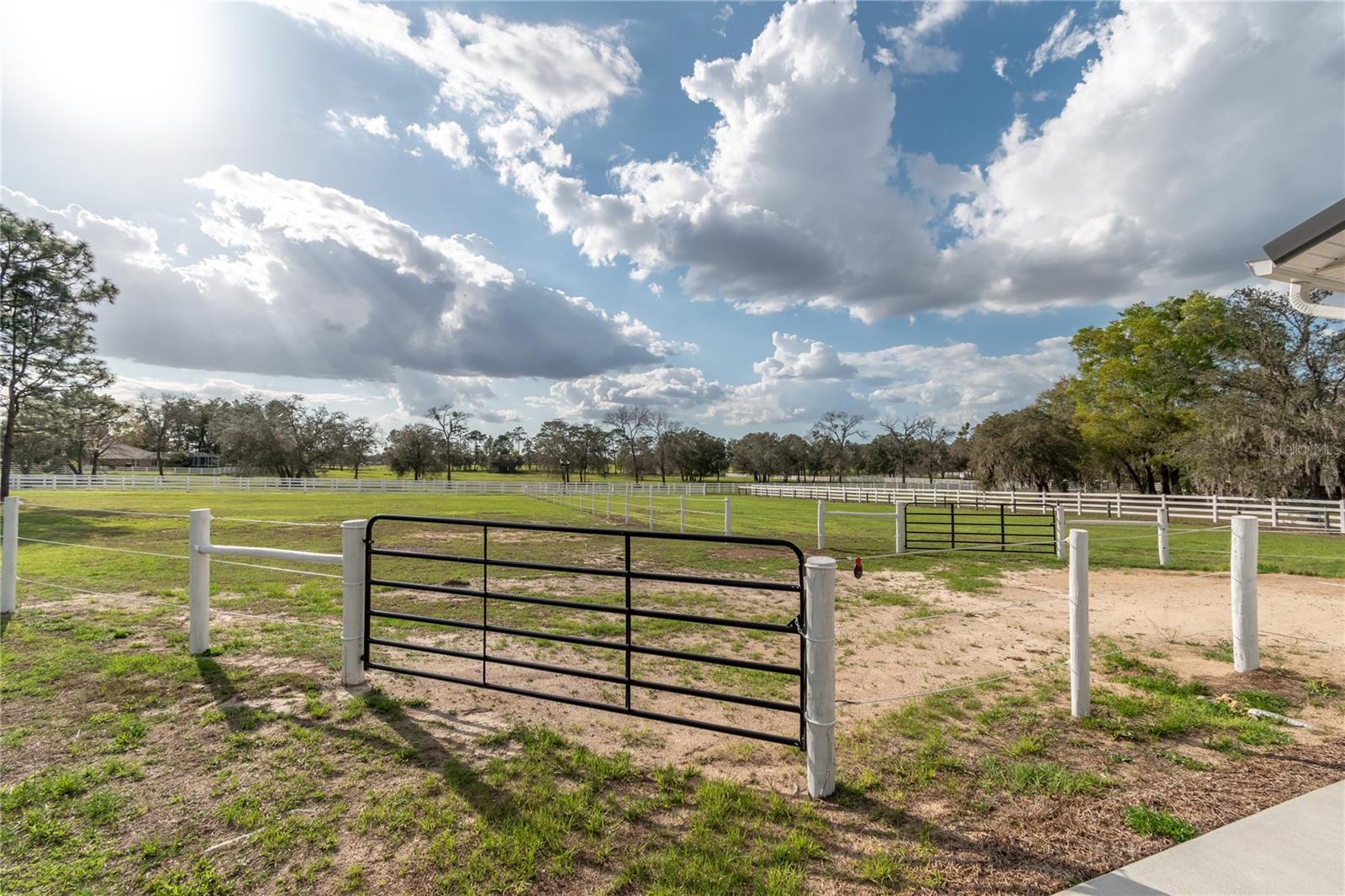 LEXINGTON DOWNS - Residential