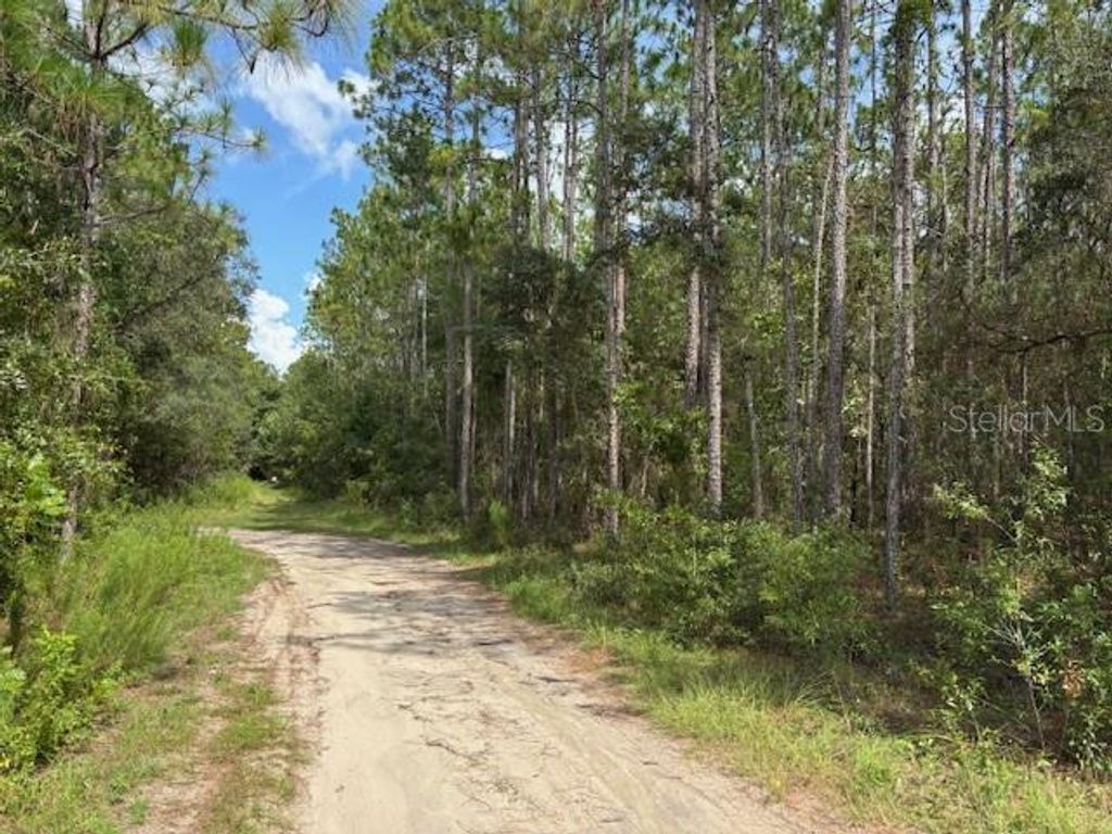Photo of 0000 SW 39th Street, Dunnellon, FL 34432 (MLS # OM713670)