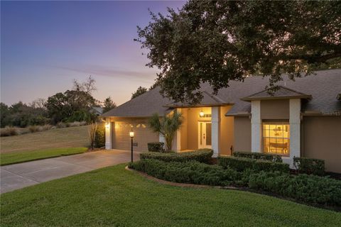 Photo of 18736 Bent Pine Dr, Hudson, FL 34667 (MLS # TB8455179)