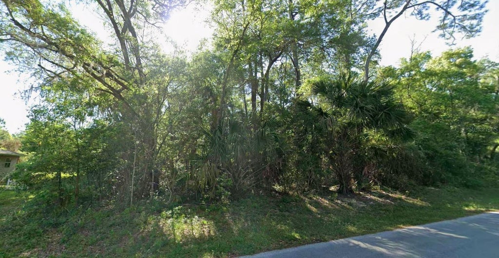 Photo of 883 N Sonia Avenue, Inverness, FL 34453 (MLS # OM734699)