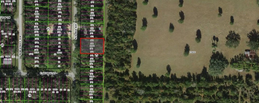 Photo of 883 N Sonia Avenue, Inverness, FL 34453 (MLS # OM734699)