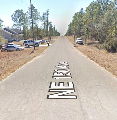 Tiny photo for NE 150th Avenue, Williston, FL 32696 (MLS # A4710721)