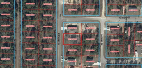 Tiny photo for NE 150th Avenue, Williston, FL 32696 (MLS # A4710721)