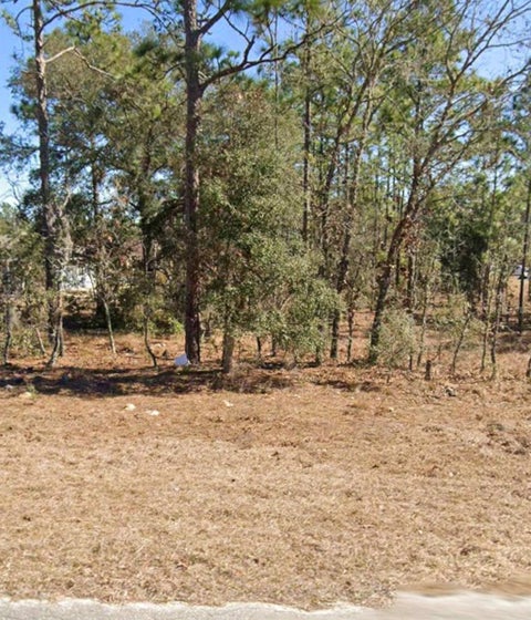 Tiny photo for NE 150th Avenue, Williston, FL 32696 (MLS # A4710721)