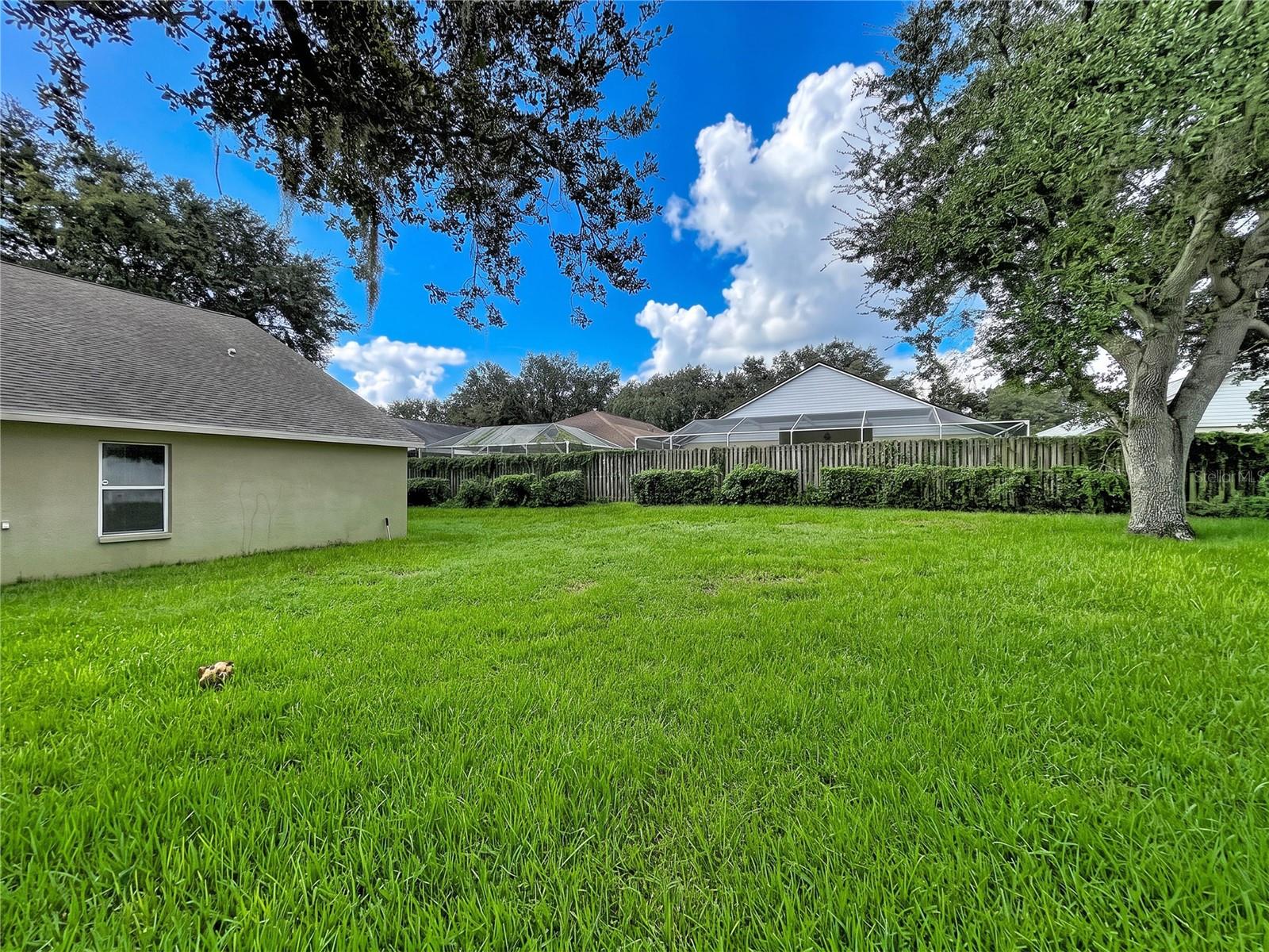 1124 SPLIT SILK STREET