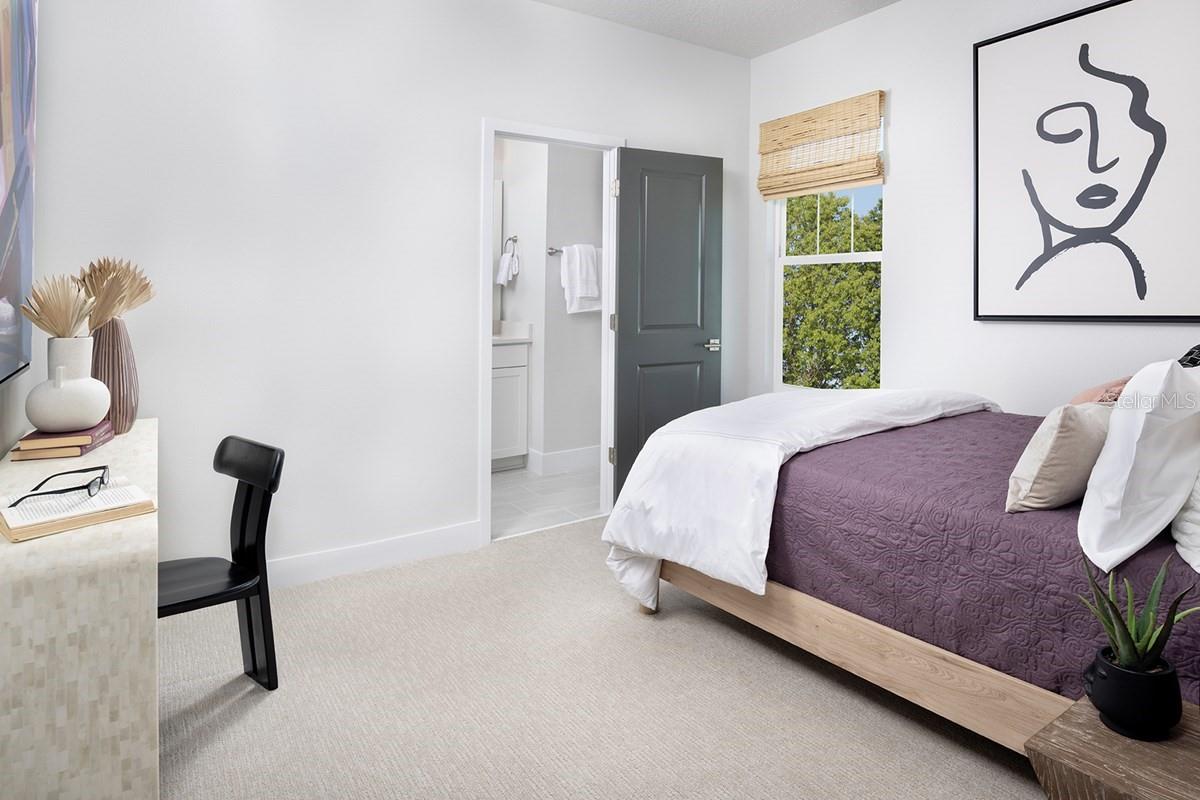 APEX AT SEMINOLE HEIGHTS - Residential