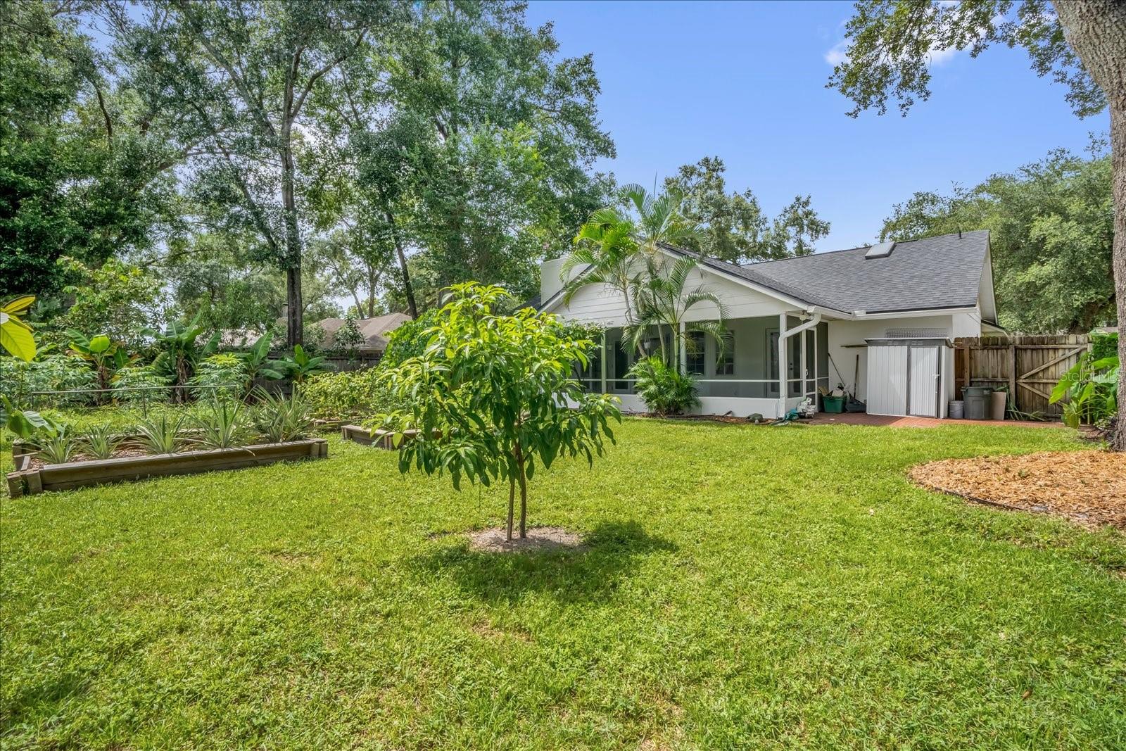 FALLBROOK - Residential