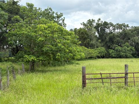 Tiny photo for 6177 Cr 625, Bushnell, FL 33513 (MLS # TB8411253)
