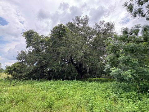 Tiny photo for 6177 Cr 625, Bushnell, FL 33513 (MLS # TB8411253)