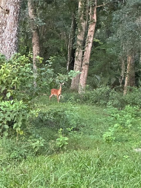 Tiny photo for 6177 Cr 625, Bushnell, FL 33513 (MLS # TB8411253)