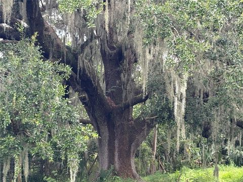 Tiny photo for 6177 Cr 625, Bushnell, FL 33513 (MLS # TB8411253)