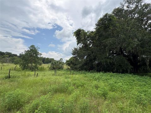 Tiny photo for 6177 Cr 625, Bushnell, FL 33513 (MLS # TB8411253)