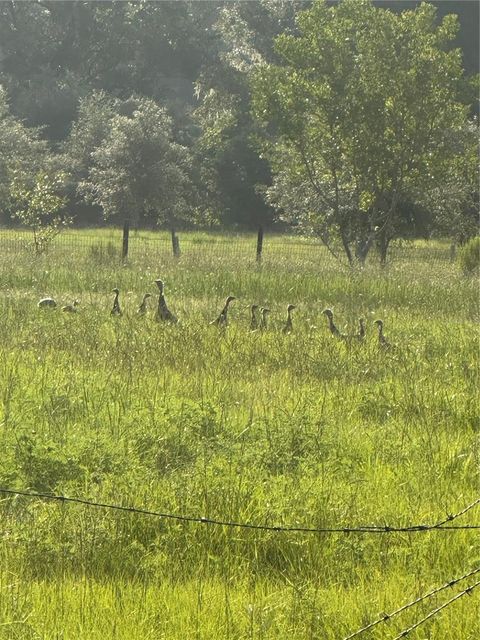 Tiny photo for 6177 Cr 625, Bushnell, FL 33513 (MLS # TB8411253)