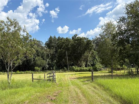 Tiny photo for 6177 Cr 625, Bushnell, FL 33513 (MLS # TB8411253)