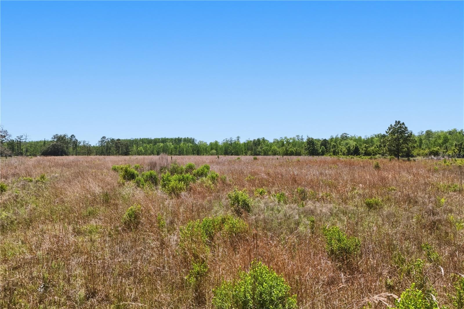 ACREAGE & UNREC - Land