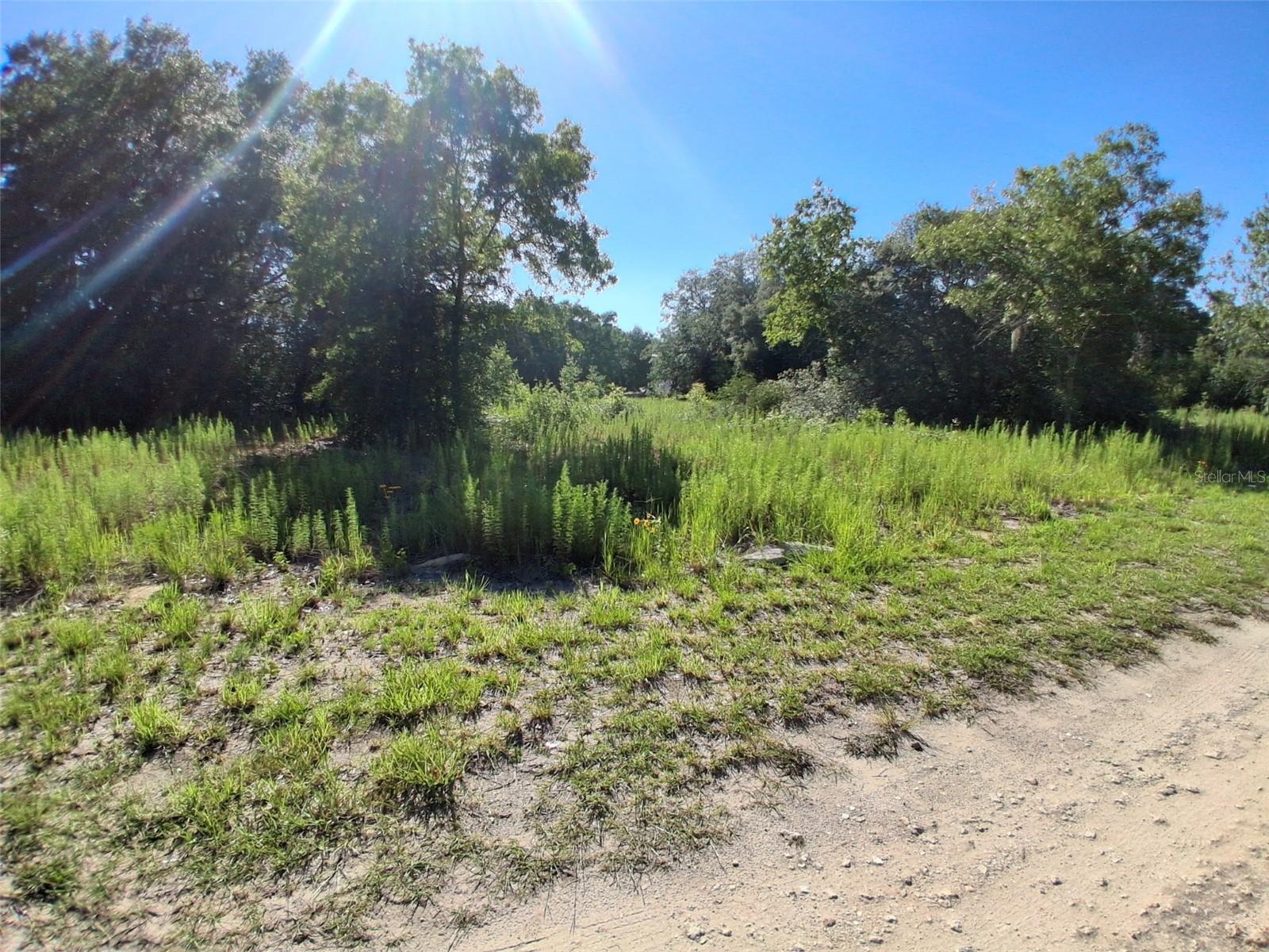 TBD SW 146TH AVENUE