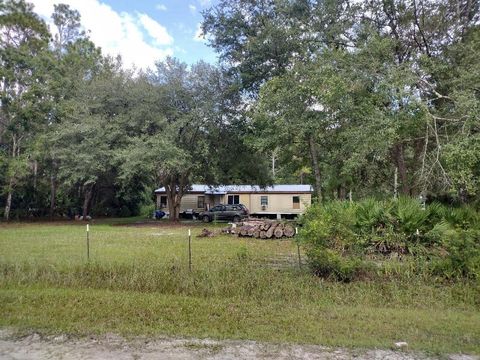 Photo of 1101 Hazelnut Street, Bunnell, FL 32110 (MLS # FC313045)