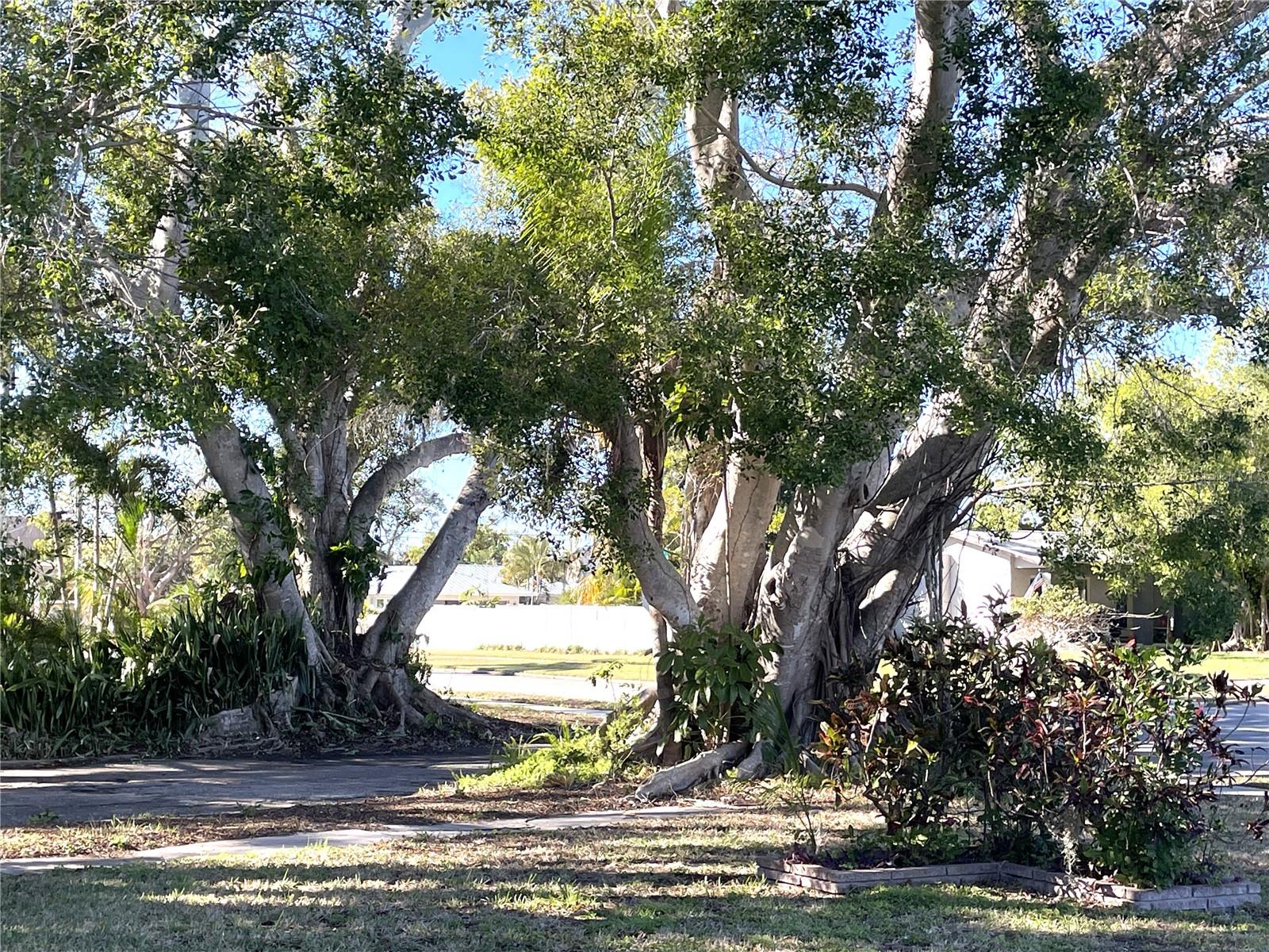 HARBOR HILLS A RESUB - Residential