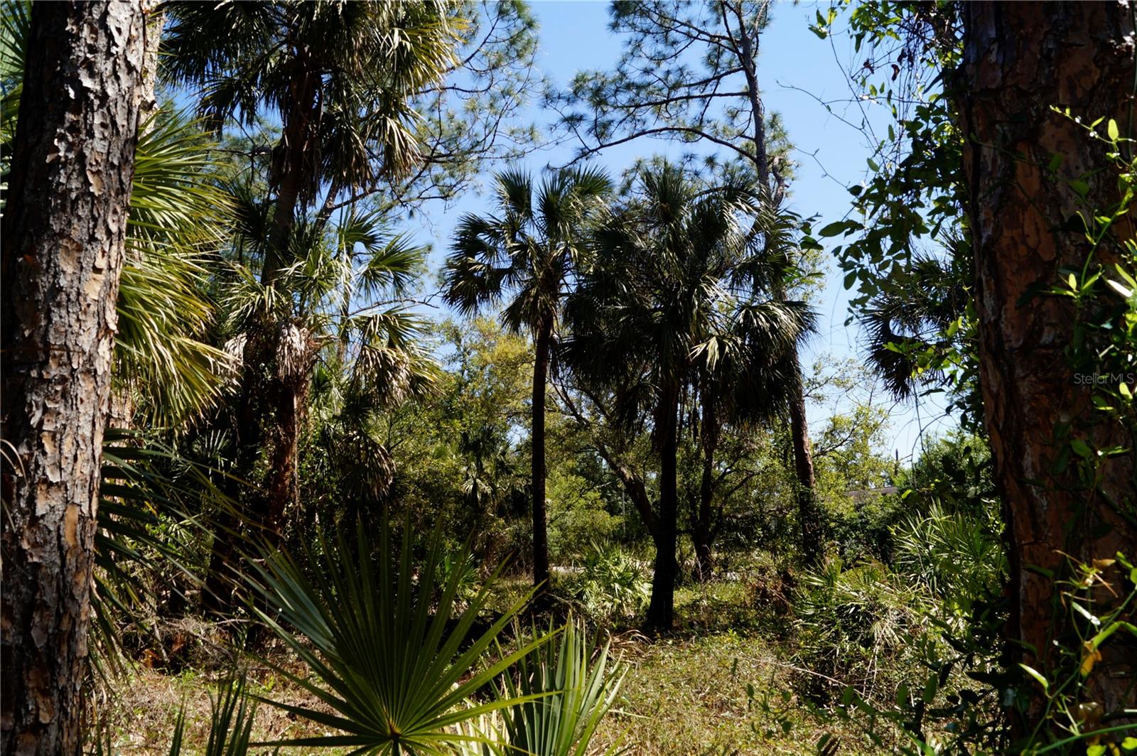 PORT CHARLOTTE SUB 26 - Land