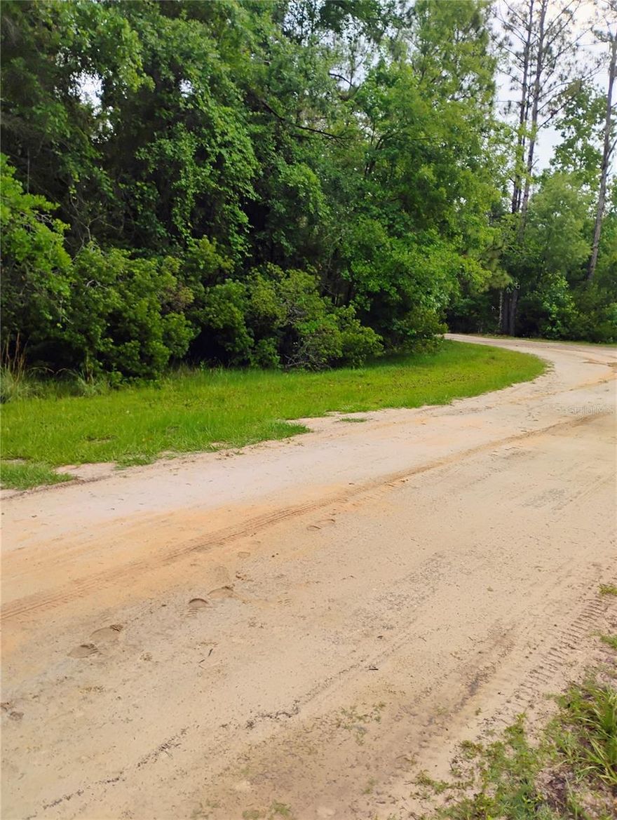 Location location Georgetown Cove across the street from Lake George which lead to the St Johns River and with membership in the Georgetown Cove Club gives you use of the gated 10-acre Private Park and Lake George, which includes 3 RV sites with water and electric hookup for members use only, Tent Camping is permitted, a private boat ramp and 200 feet of pier on beautiful Lake George, Also Pavilion with tables and charcoal grills are available..