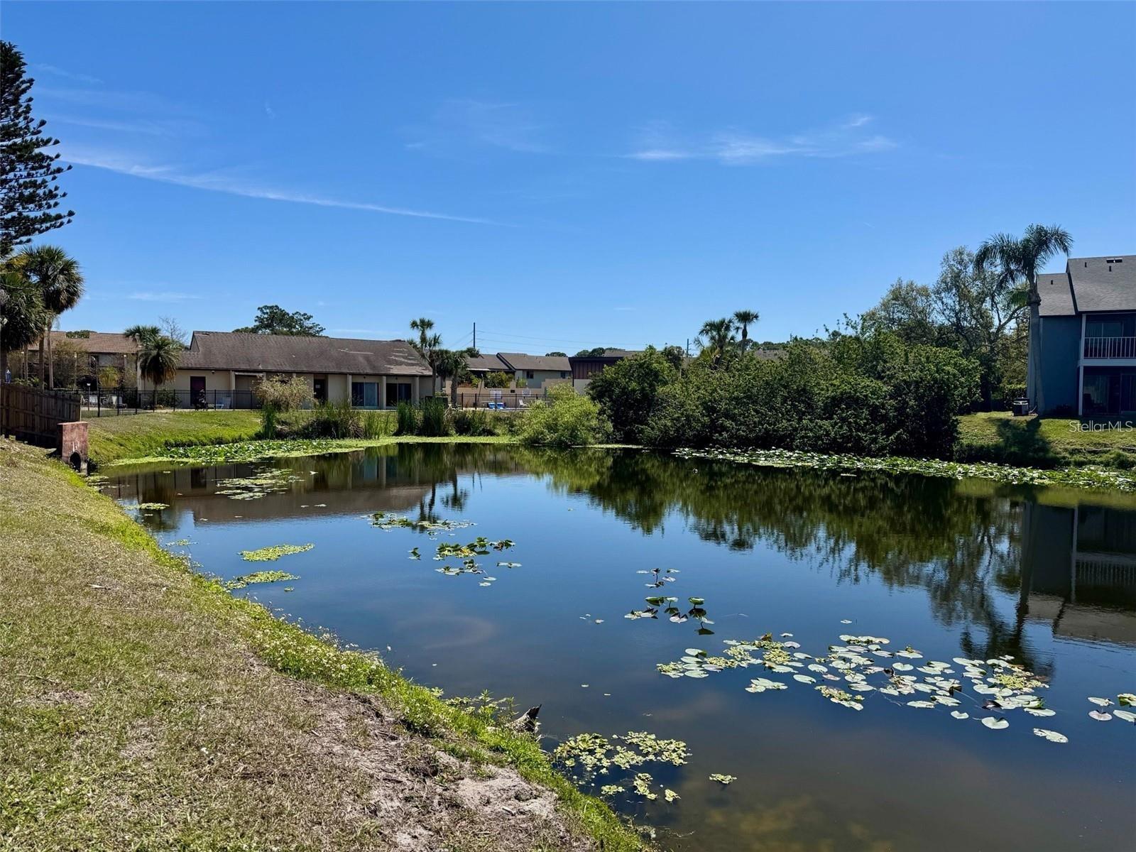 HIDDEN LAKE VILLAGE - Residential
