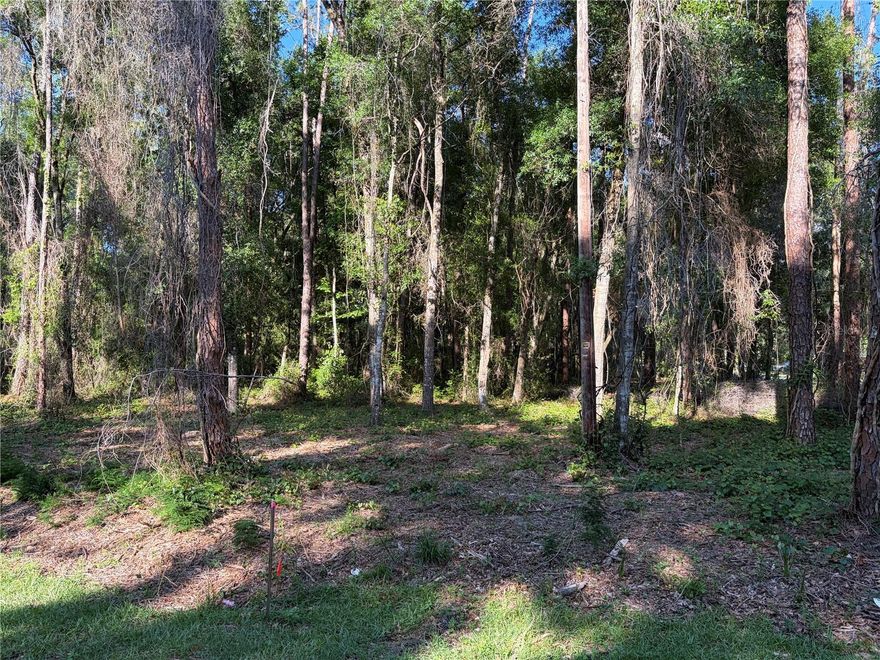 Build your dream home on this 1.22-acre corner lot! Whether you’re planning a mobile home, modular home, or site-built residence, this property offers the flexibility to create your ideal primary residence. Conveniently located with easy access to I-75, you’ll enjoy a central location between Ocala, Tampa, and Brooksville.Outdoor enthusiasts will love being close to the Withlacoochee River, perfect for boating, fishing, and enjoying Florida’s natural beauty. Don’t miss this opportunity to own a spacious property with endless possibilities!