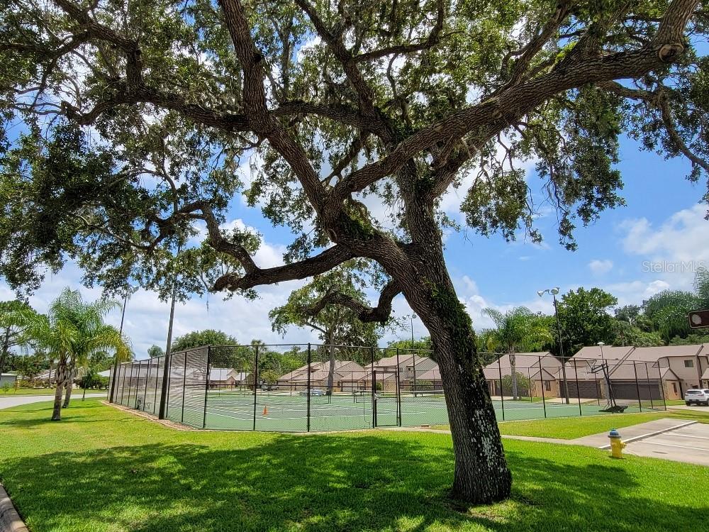 Hidden Pines Ph 03 - Residential