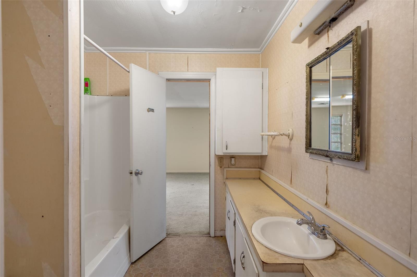 SNOW CAPS - Residential